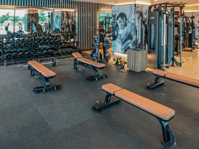 Gymnasium
